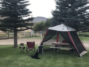 My Remote Office in Challis Idaho